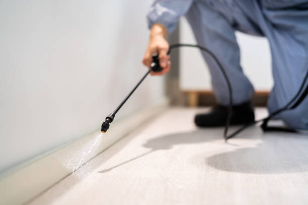 Licensed Mosquito Control service in West Dundee, IL - Show Me Pest Control