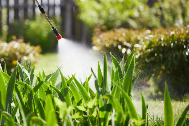 24/7 Emergency Mosquito Control experts in West Dundee, IL