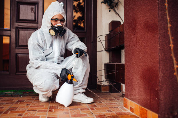 Reliable Mosquito Control contractor in West Dundee, IL by Show Me Pest Control